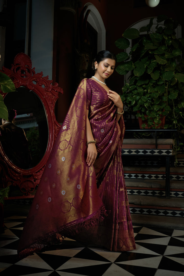 Side angle highlighting coin-shaped zari designs on the border and shimmering pallu.