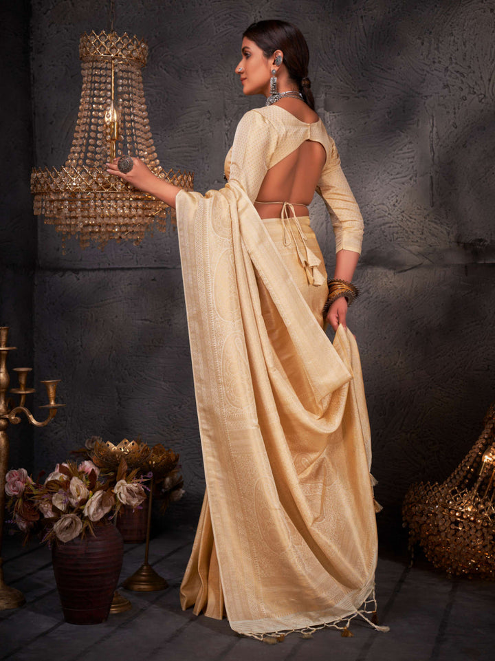 Back view of model showcasing the length and intricacy of the zari-decorated pallu.