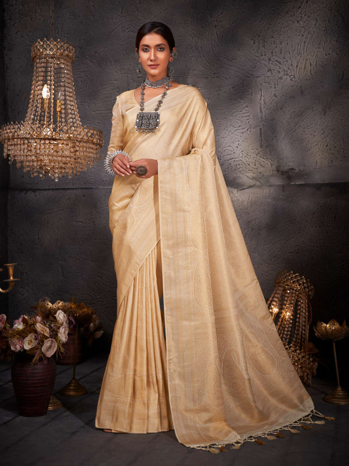 Model styling the saree with antique jewelry, creating a regal and timeless look.