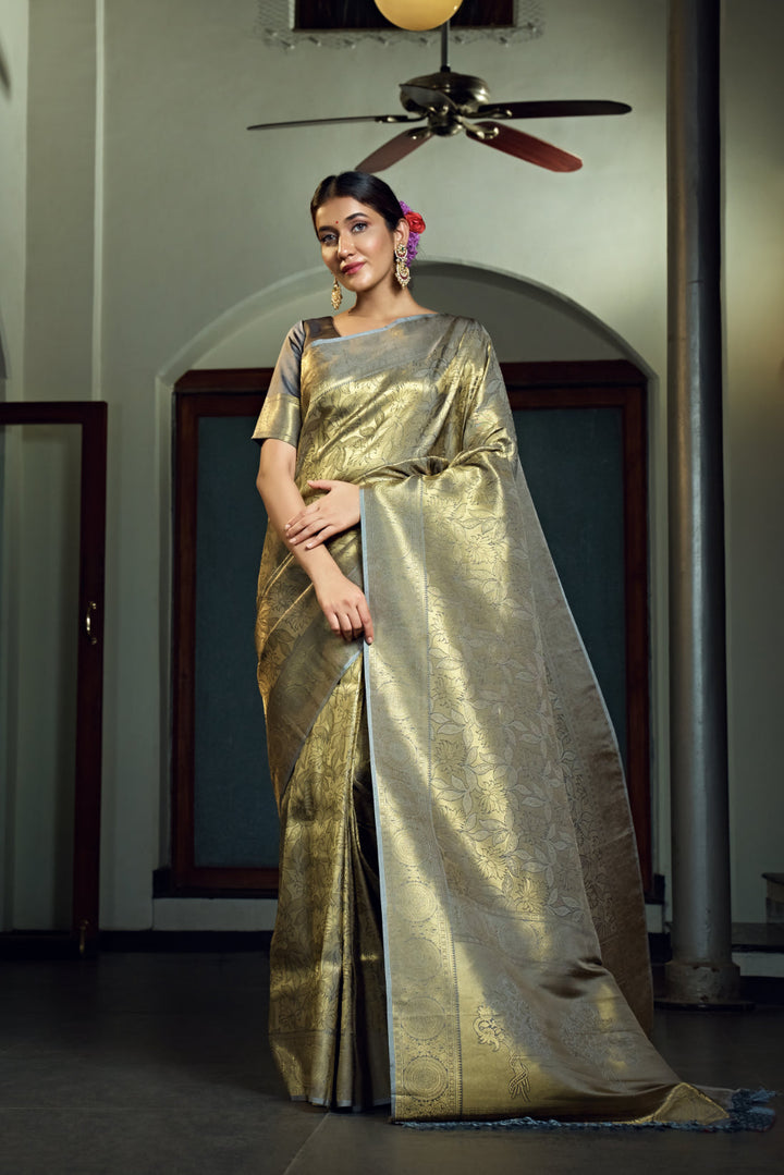 The model showing the full flow of the saree and pallu design.
