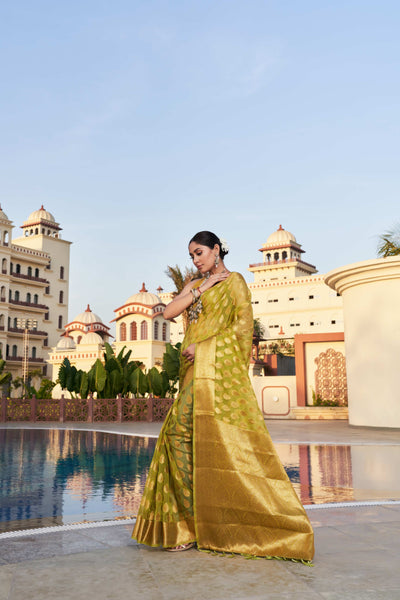 Olive Green Organza Saree