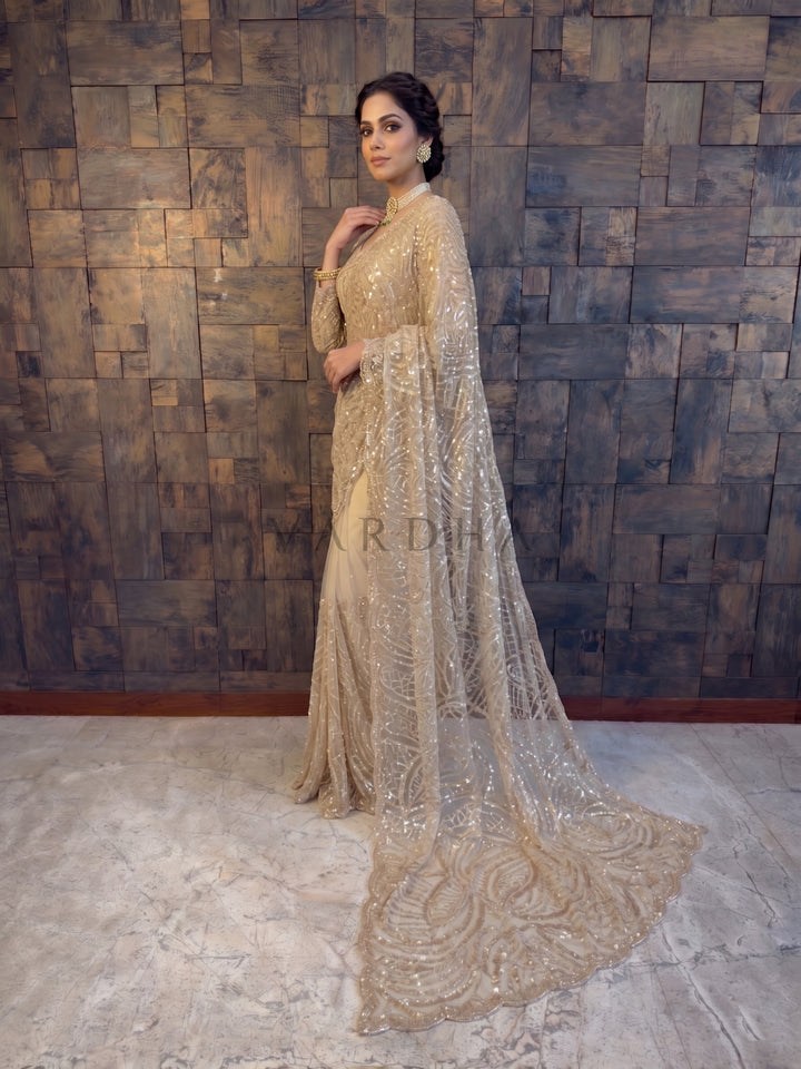Beige Net Handwork Saree with Heavy Silver Cutdana &amp; Sequin Embroidery