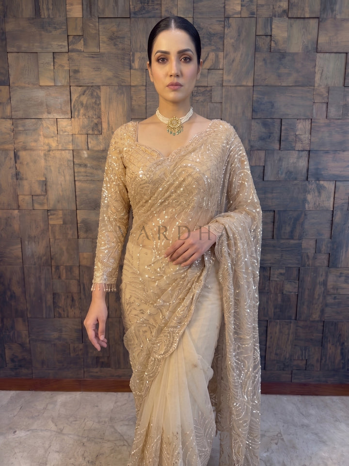 Beige Net Handwork Saree with Heavy Silver Cutdana &amp; Sequin Embroidery
