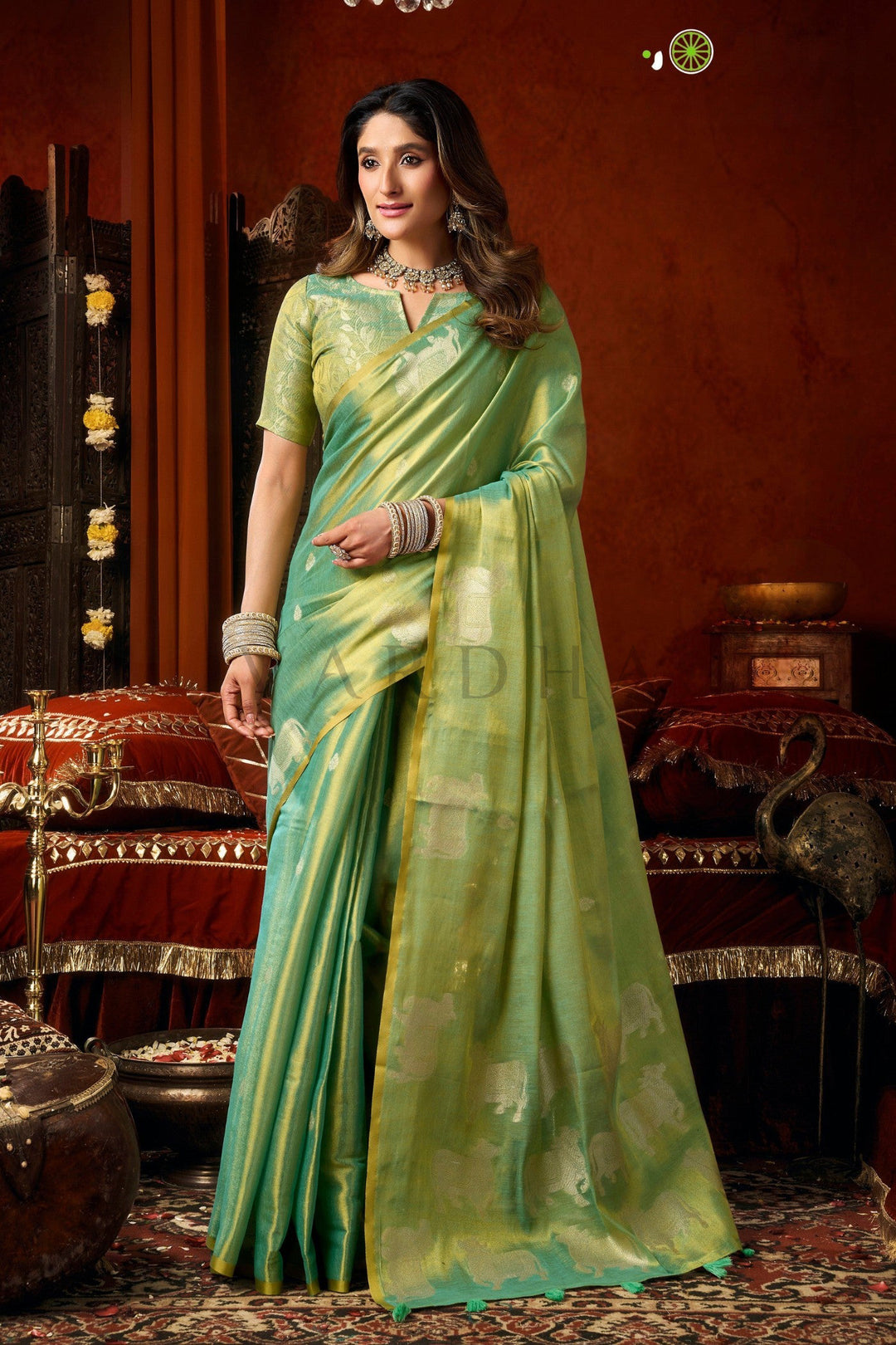 Woman in a green saree standing in an ornate room with red walls and decorative elements. Full front view of a dual-tone mint green heavy tissue saree featuring allover silver woven cow buttas and a rich golden zari border.