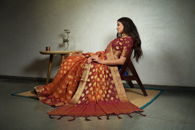 Marmalade Orange Golden Zari Banarasi Chiffon Saree