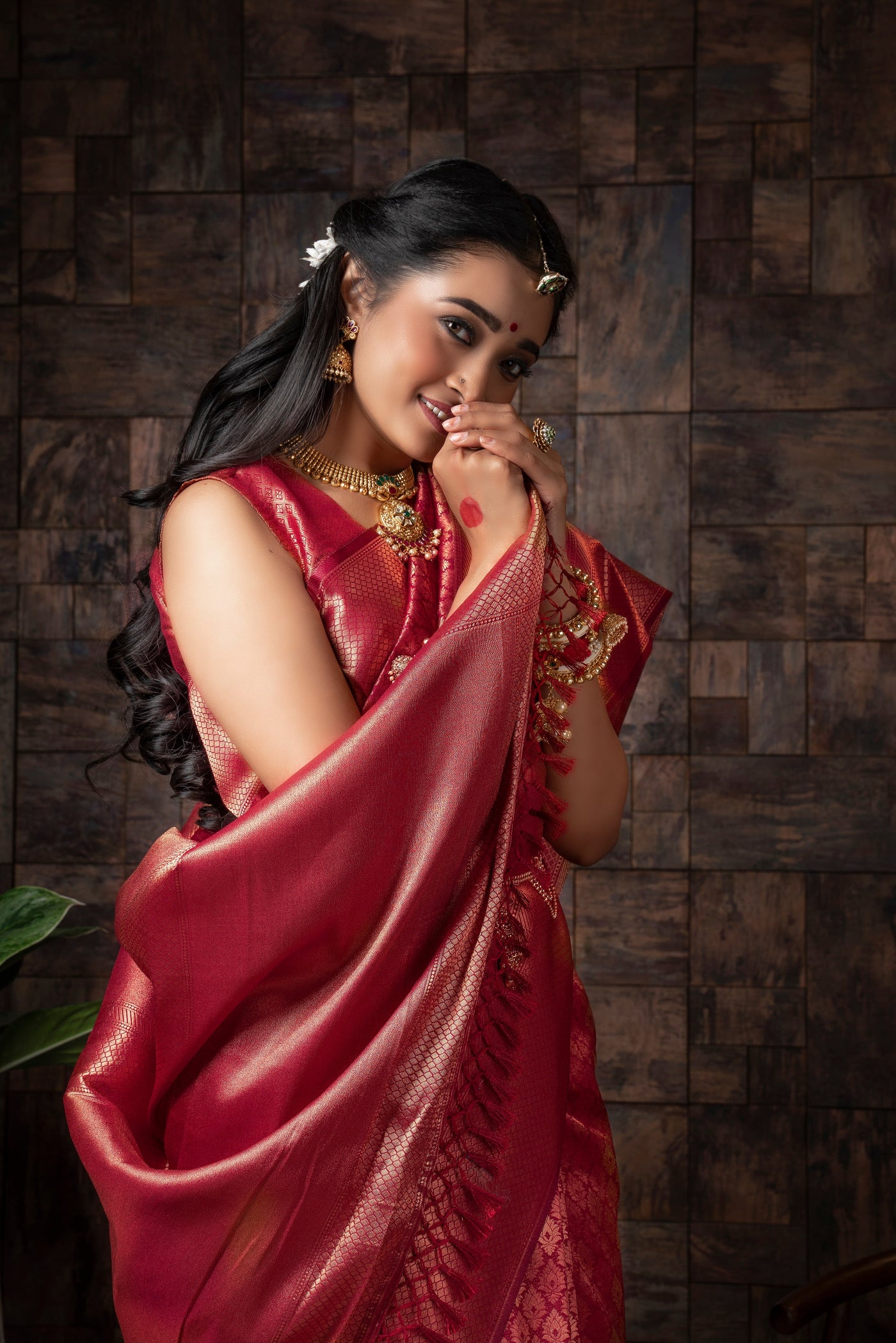 Persian Red Golden Zari Kanjeevaram Silk Saree