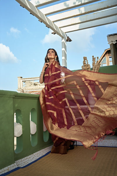 Ruby Red Golden Zari Banarasi Organza Silk Saree | House of Vardha