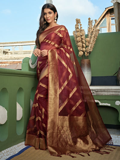 Ruby Red Golden Zari Banarasi Organza Silk Saree | House of Vardha